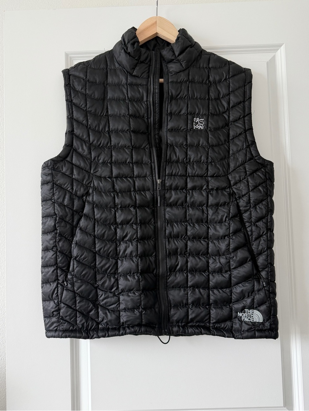 The North Face Black Quilted Insulated Men's Vest